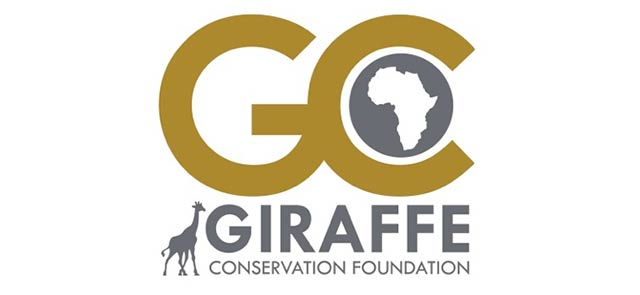 Giraffe Conservation Foundation2