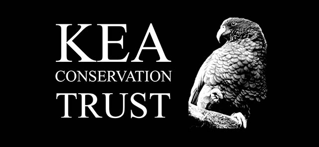 Kea Conservation Trust2