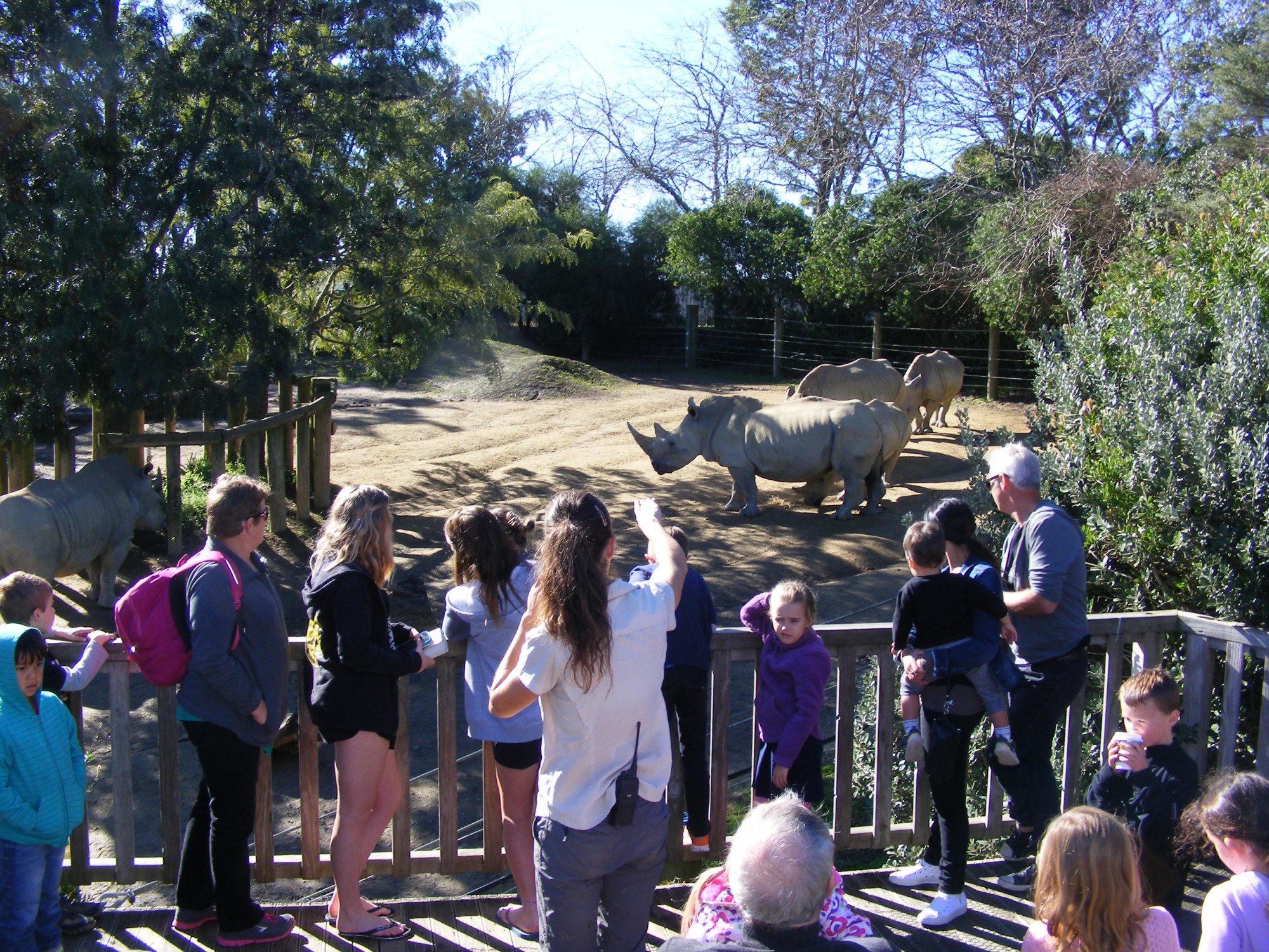 Zoo KeeperTalk Rhino
