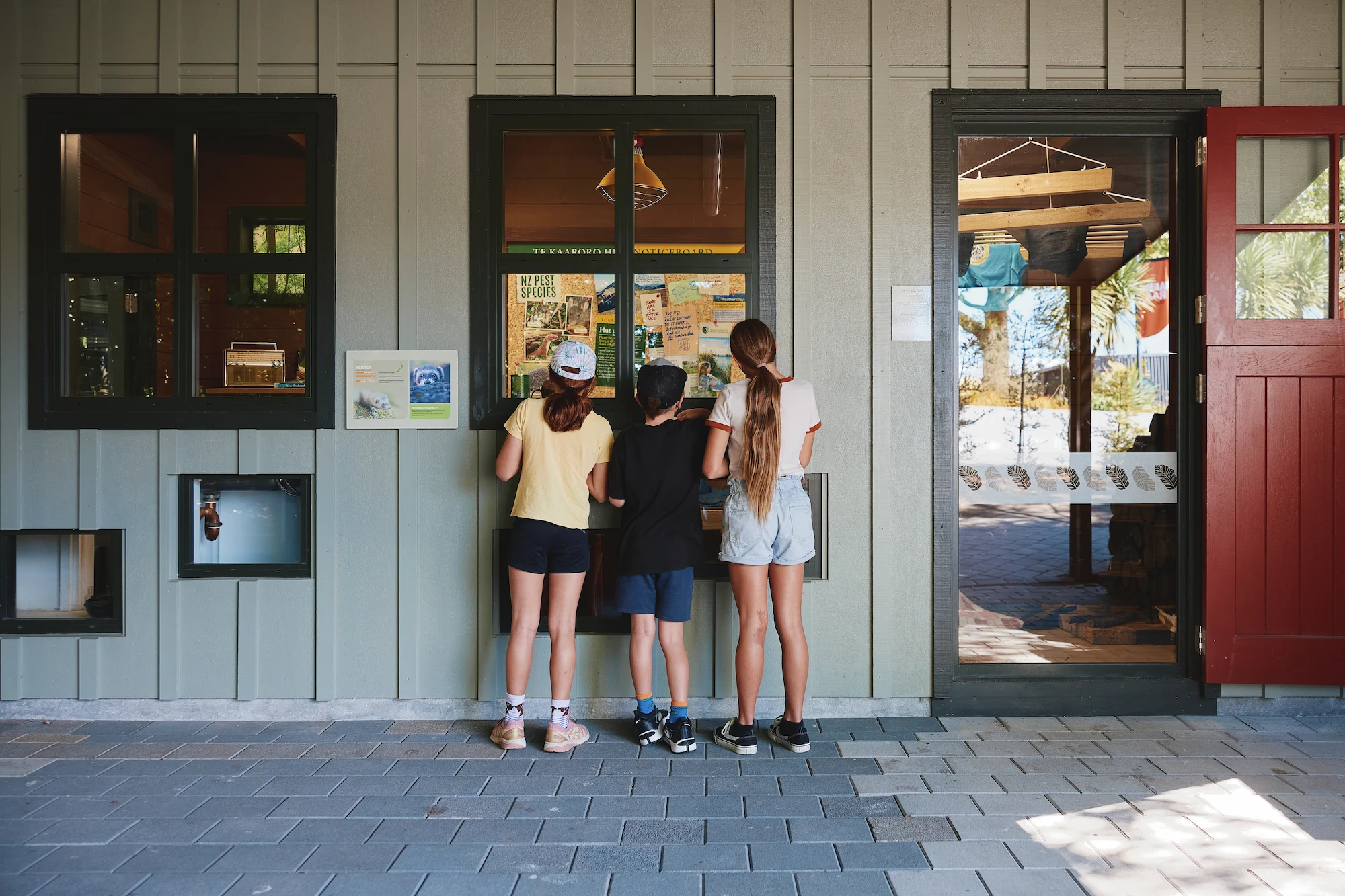 Kids peeking through a window at the zoo