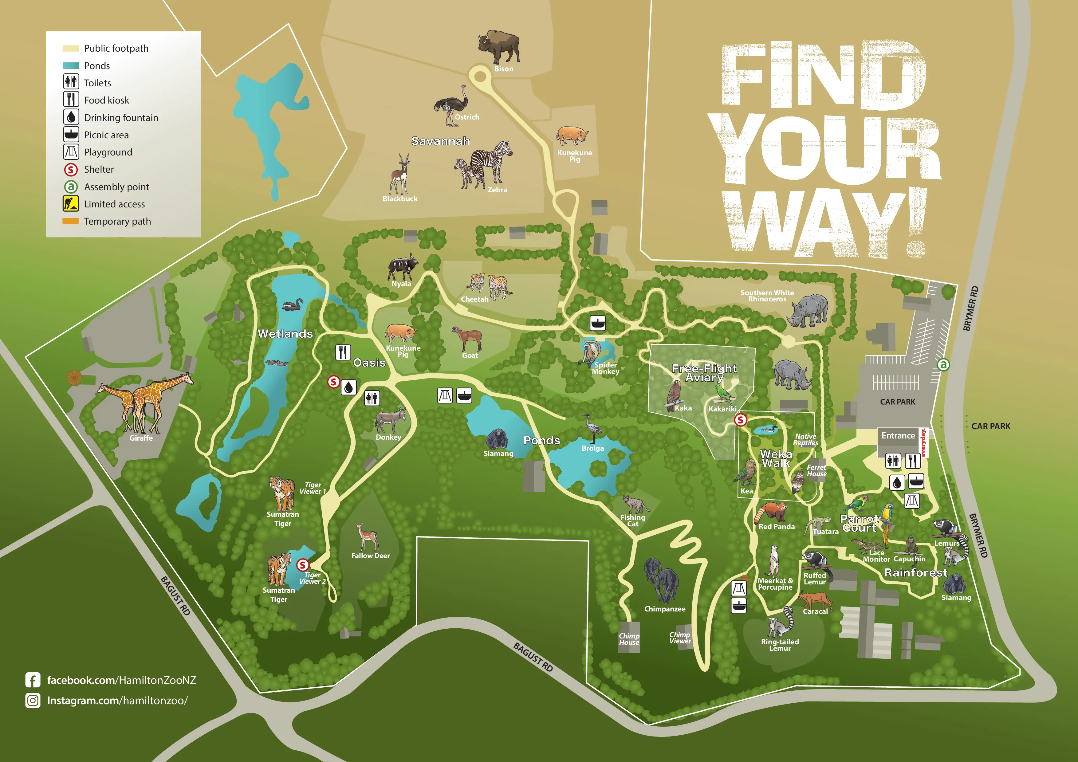 Cartoon based zoo map