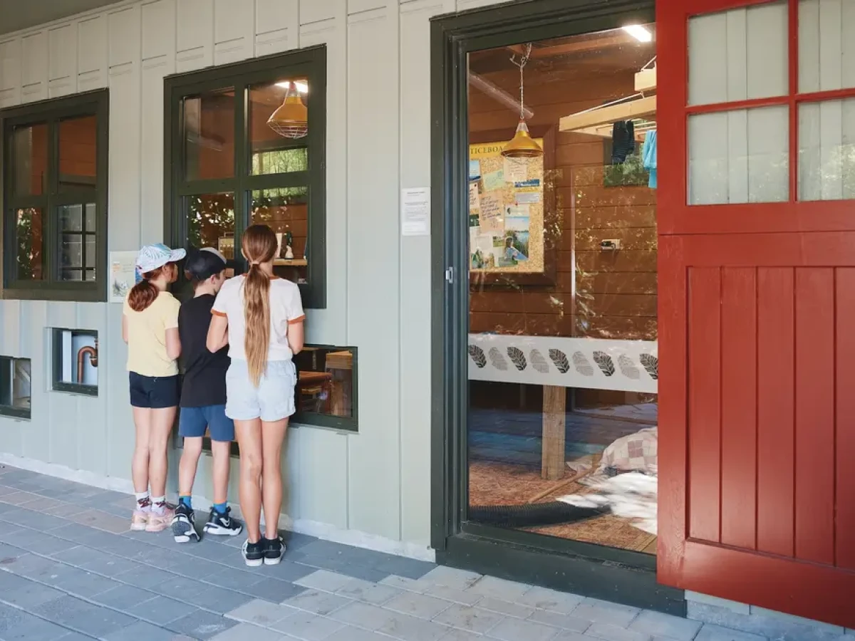 A group of children looking in the window of an enclosure at Hamilton Zoo
