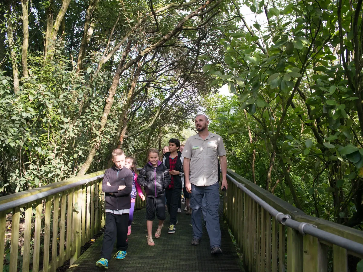 A group walking across a bridge at Hamilton Zoo
