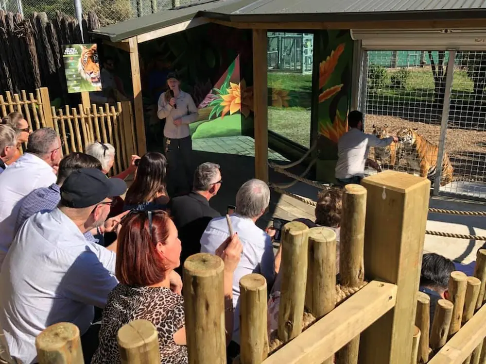 A crowd gathered to listen to a keeper talk about Sumatran tigers at Hamilton Zoo