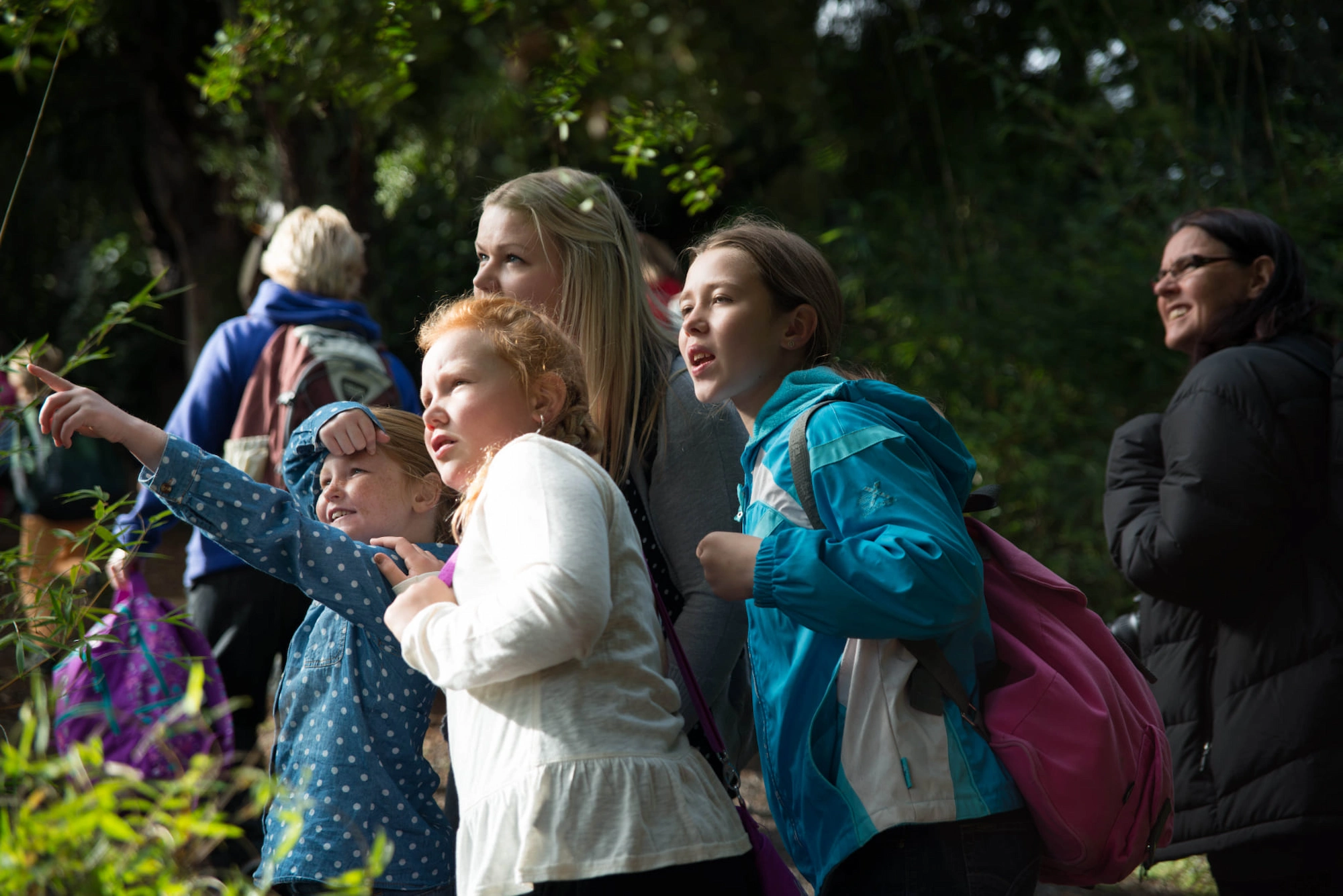 A group of children pointing and looking into an exhibit at Hamilton Zoo