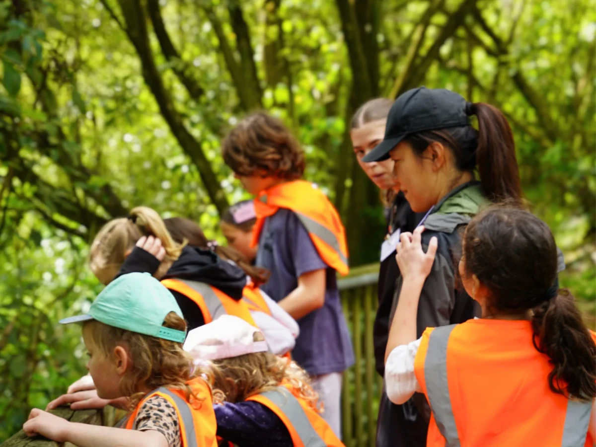 Children looking down over wooden rail